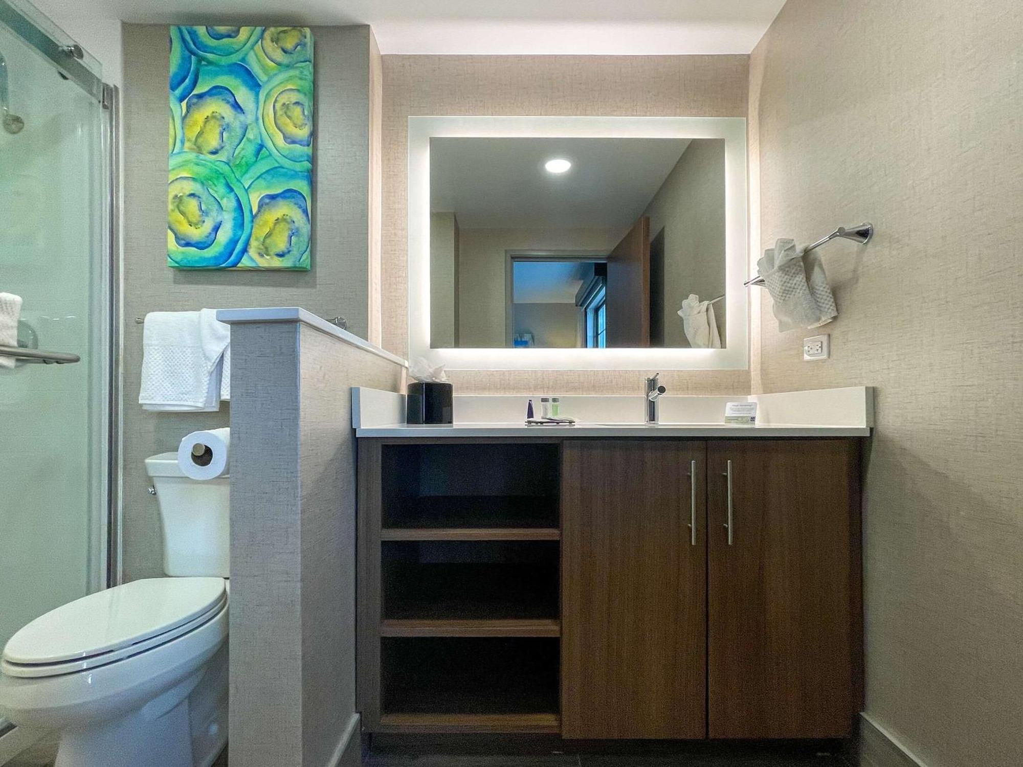 Mainstay Suites Oakbrook Terrace - Chicago Екстериор снимка